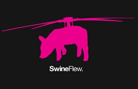 swineflew