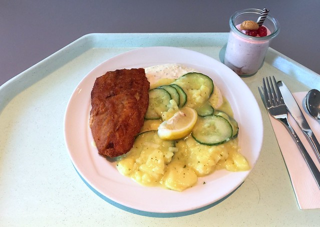 Gebackenes Seelachsfilet mit Remoulade & Kartoffel-Gurkensalat [07.08.2015]